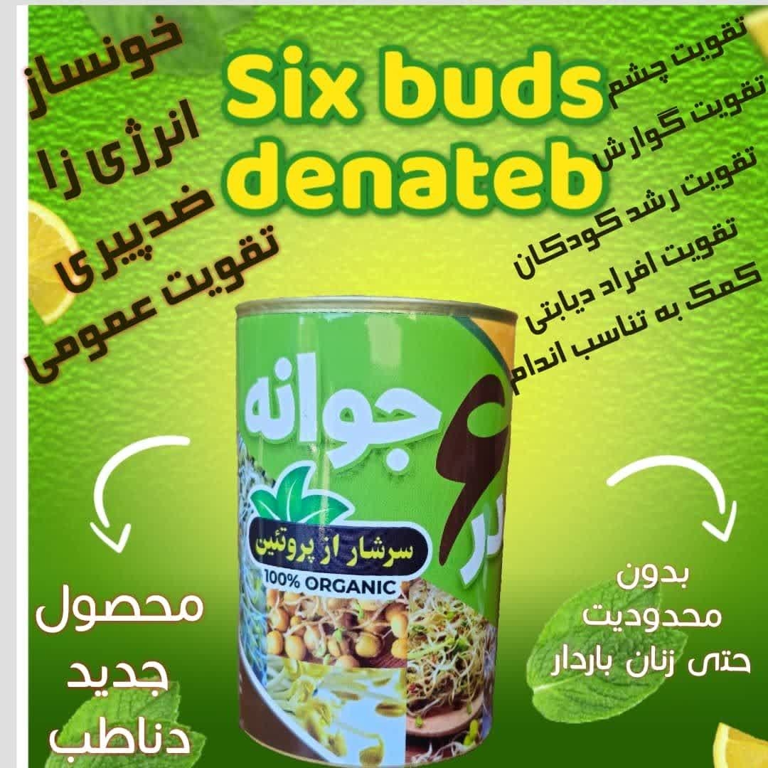 پودر گیاهی ۶ جوانه دناطب